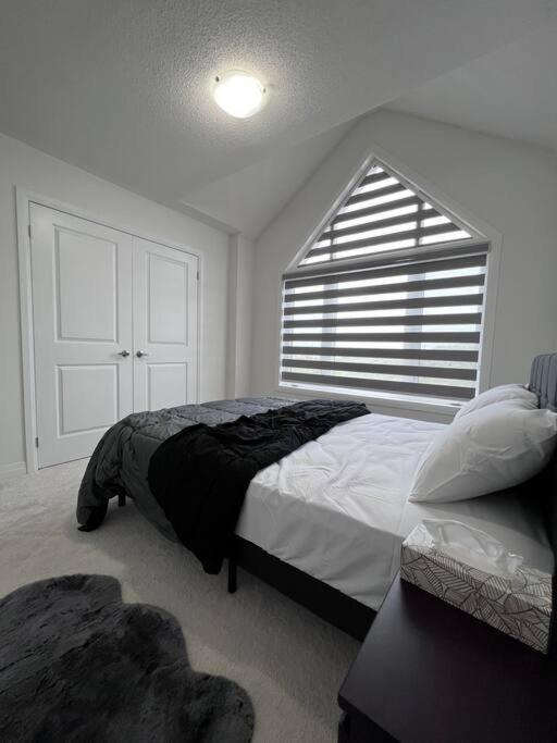 Brand New 4 Bedroom Villa By Hamilton Airport! المظهر الخارجي الصورة